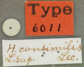 Media type: image;   Entomology 6011 Aspect: labels